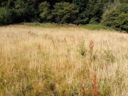 terrain à vendre hericourt en caux 1200m2 66 500€