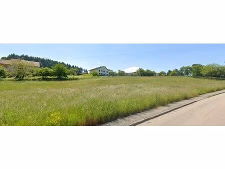 achat terrain xertigny 88220