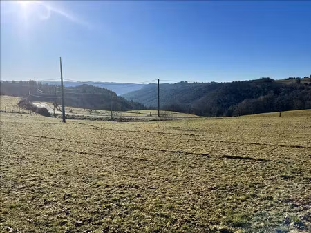 vente terrain 1900 m² neuville (19380)