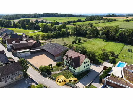 opportunité ! maison  dépendances  hangar et terrain