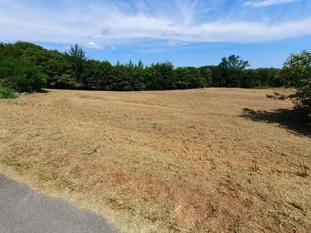 terrain groléjac 3478 m2