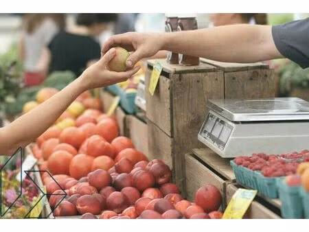 location commerce 200 m² à auray (56400)