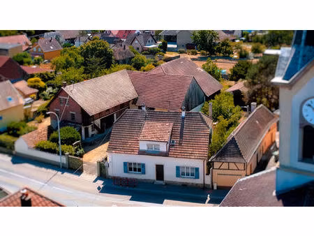 maison sur 8 ares proche colmar!