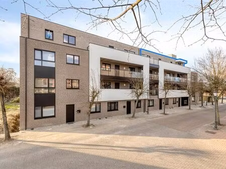 appartement à vendre à heppen € 324.958 (lbpjp) - optimus vastgoed | zimmo