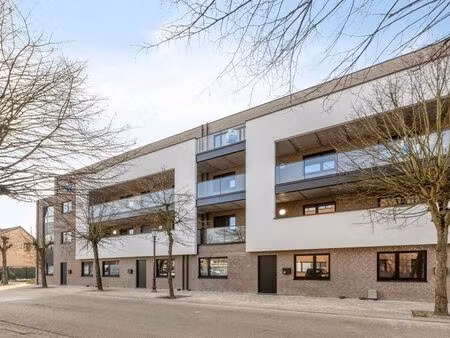 appartement à vendre à heppen € 288.248 (lbpjo) - optimus vastgoed | zimmo