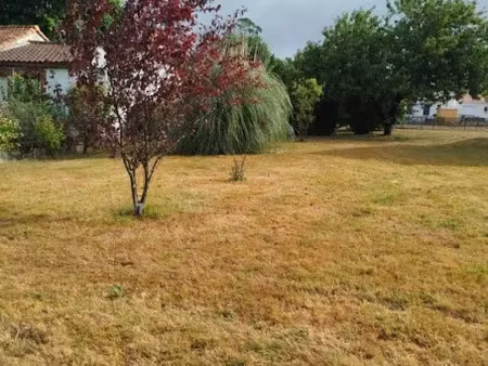 vente terrain à corcoué-sur-logne (44650)  86 000 €