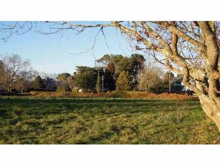 vente terrain à saint-quay-perros (22700) : à vendre / 1404m² saint-quay-perros