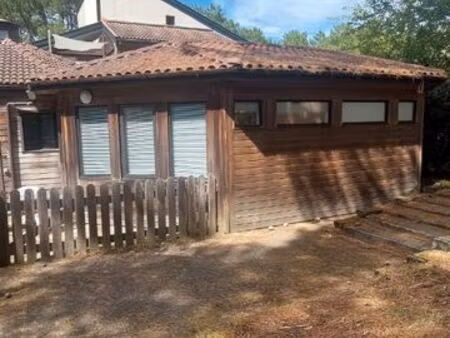 a louer à l'année lacanau océan très bel appartement 2 chambres comme une maison