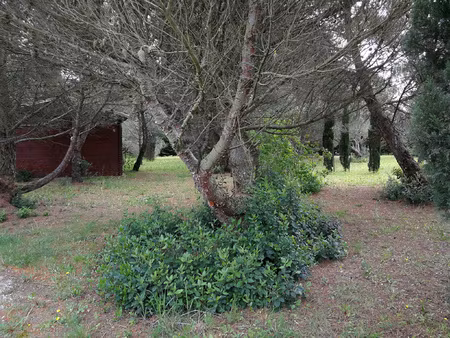 achat terrain 1 585m² badens 11800