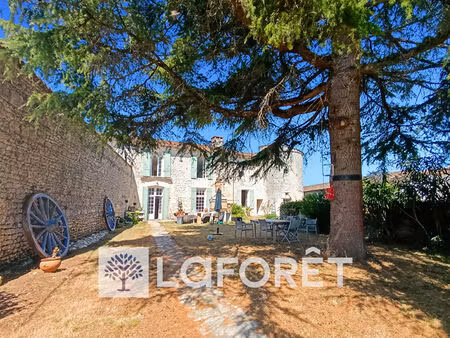 maison de maître à vendre à villars en pons (17260) - 5 chambres  259 m²