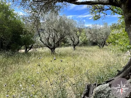 terrain constructible