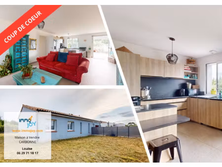 vente maison 4 pièces 105 m² carbonne (31390)