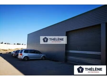 location local commercial 340m2 saint-jean-de-védas 34430 - 2827 € - surface privée