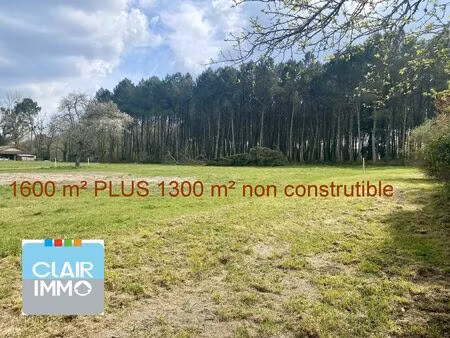 vente terrain 1600 m² uzeste (33730)