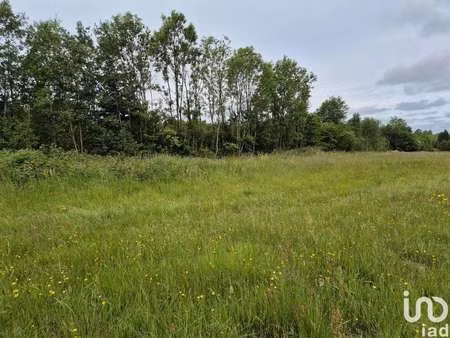vente terrain à rocroi (08230) : à vendre / 7600m² rocroi