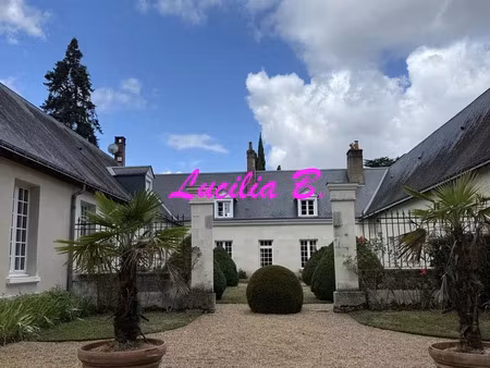 vente maison 11 pièces 320 m² saint-avertin (37550)