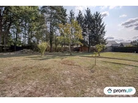 vente terrain 1098 m² cléré-les-pins (37340)