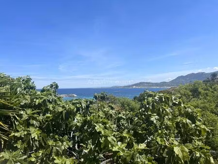 t4 vue mer - marine de san damiano algajola