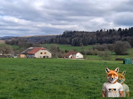 terrain à bâtir - exclusivité à saraz