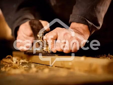 a vendre saint louis (97421) fonds de commerce menuiserie - murs commerciaux 740 m² sur pa