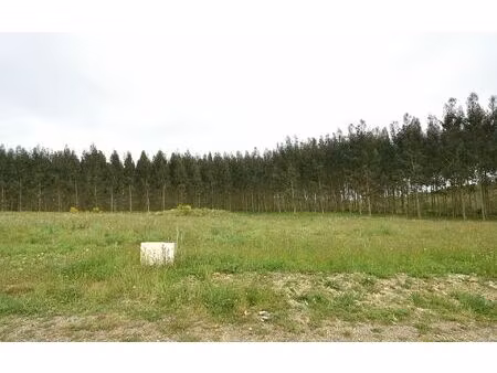 terrain bats m² t- à vendre  36 263 €