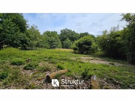 en vente terrain constructible 16 02 ares – 147 000 € |saint-hubert