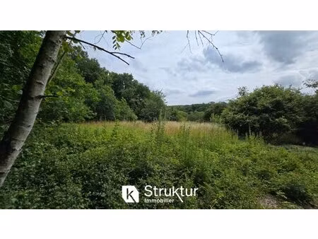 en vente terrain constructible 18 31 ares – 129 000 € |saint-hubert