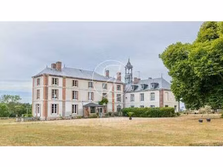 château à vendre à saint-fargeau : 795 000 € | 500m²