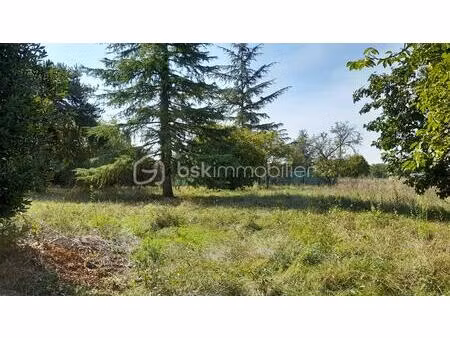 terrain de 1 069 m² à saint-georges-sur-cher