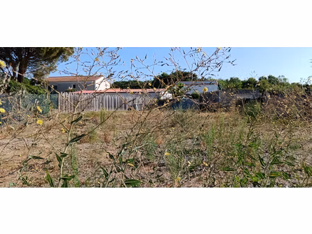 2 terrains vertou planty viviers de 239 m2 et 289 m2