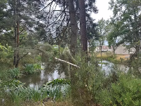 vente terrain 3937 m² à saint-martin-d'abbat (45110)  129 000 €