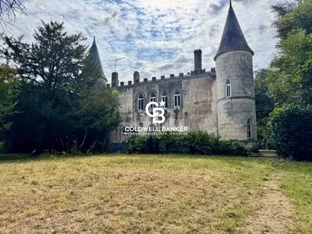 vente château 12 pièces