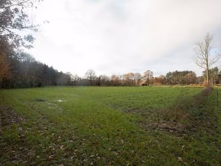 terrain à vendre à lille € 86.940 (lbs0c) - philippe verlinden | zimmo