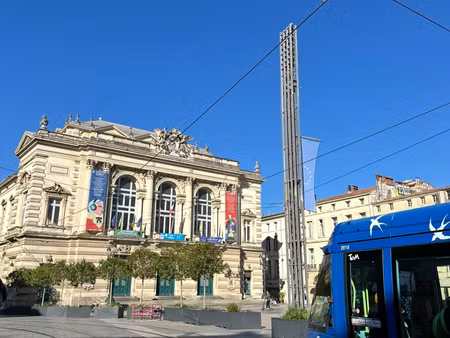 montpellier – centre-ville / grand appartement haussmannien de plus de 140 m² – 6 chambres