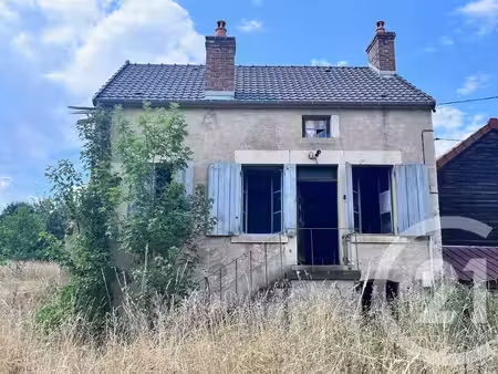 achat : maison (58210)