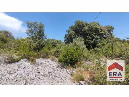 terrain 0 pièces 5000 m² à vendre / acheter bidon 07700 ? | era immobilier