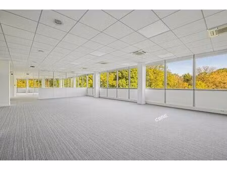 location bureau meudon la foret 271 m²