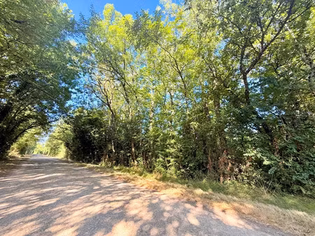 terrain de loisirs 0 pièces 7830 m² à vendre / acheter roches-prémarie-andillé 86340 ? | e