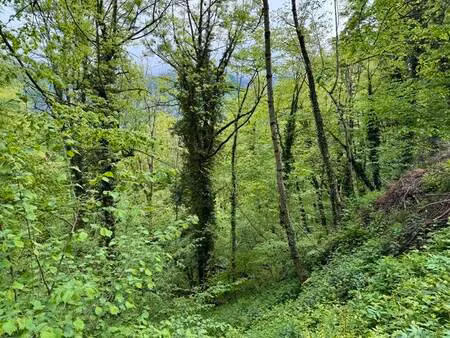 vente terrain 13466 m² aulus-les-bains (09140)