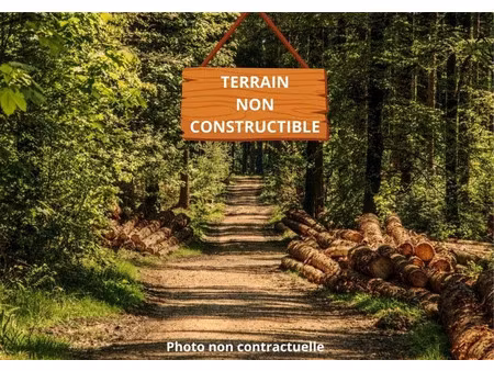 vente terrain 3092 m² bussac-forêt (17210)