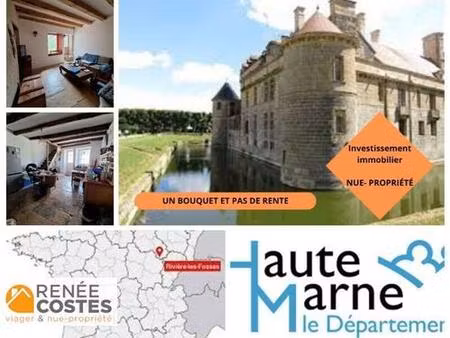 vente en nue propriété - h71 ans - langres (52200)