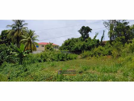 terrain de 700 m2 avec une pente douce a vendre a goyave en