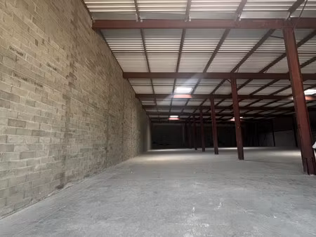 immobilier professionnel à vendre fegersheim