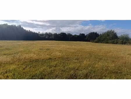 terrain constructible. 9159 m2 m2 luxeuil