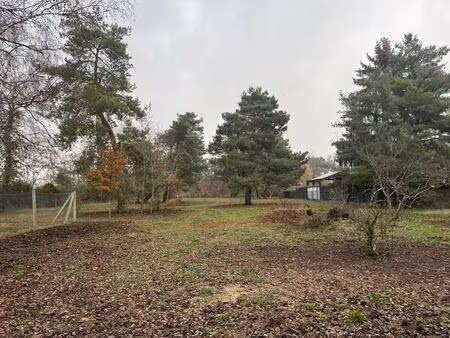 vente terrain 3113 m² saint-denis-de-l’hôtel (45550)