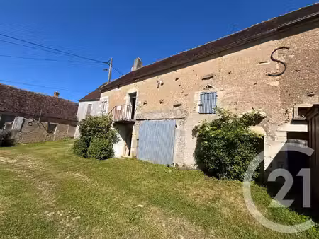 achat : maison (58210)