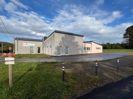 local d'activité l'isle sur le doubs  330 m2