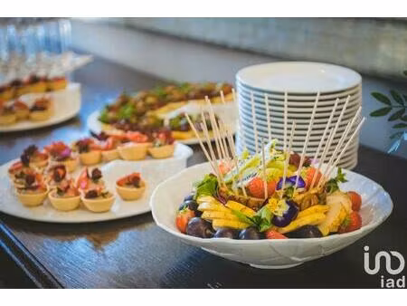 vente restaurant 460 m²