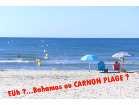 vente appartement 2 pièces 49 m² à mauguio (34130)  274 000 €