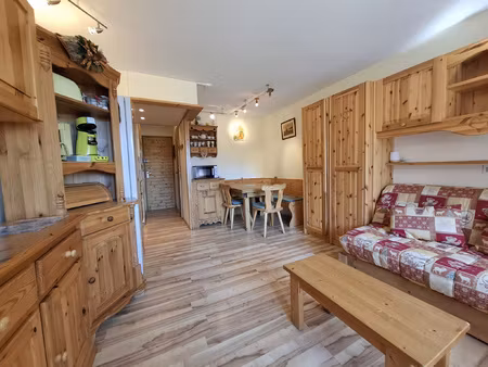 studio + appartement au pied des pistes à crève coeur